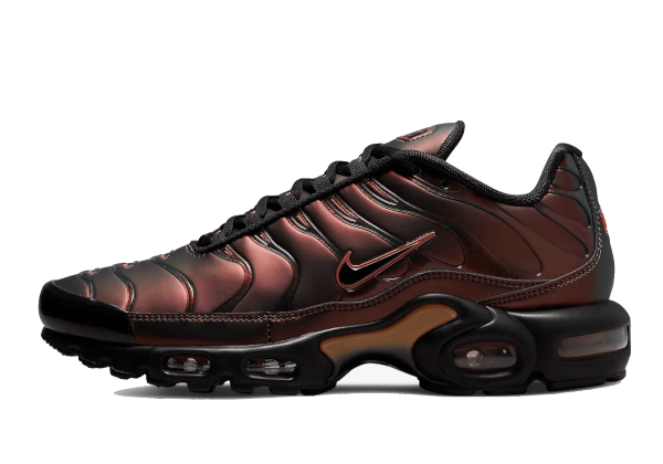 TN - OG SCARAB
